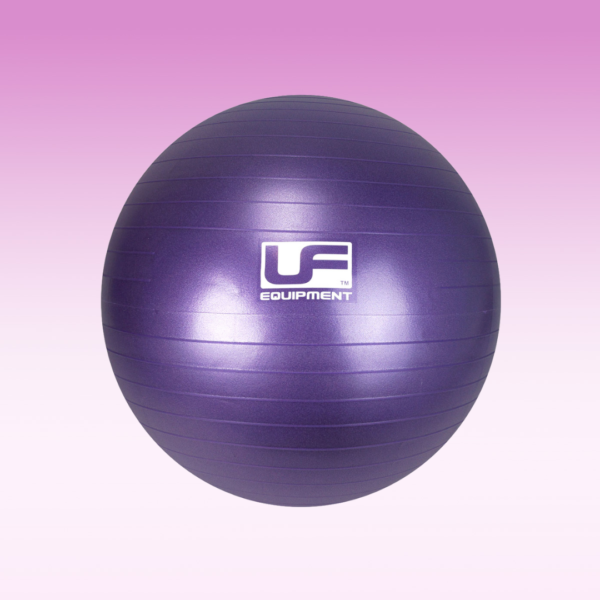 Gym ball | purple